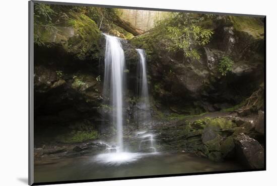 USA, Tennessee, Great Smoky Mountains National Park. Grotto Falls Scenic-Jaynes Gallery-Mounted Photographic Print