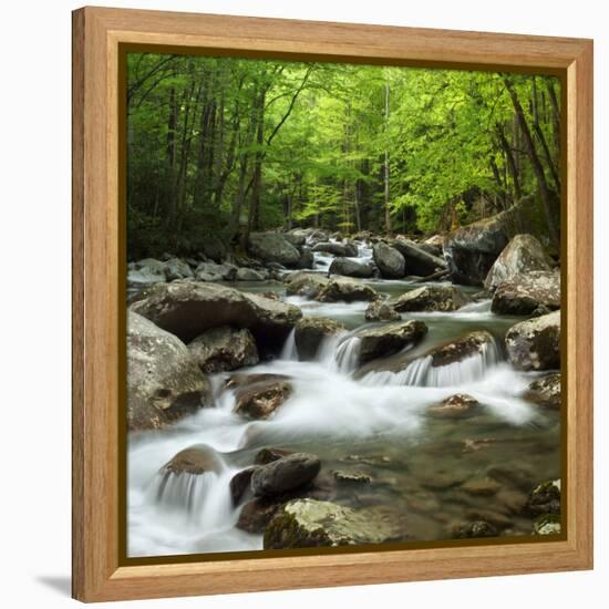 USA, Tennessee, Great Smoky Mountains National Park. Little Pigeon River at Greenbrier-Ann Collins-Framed Premier Image Canvas