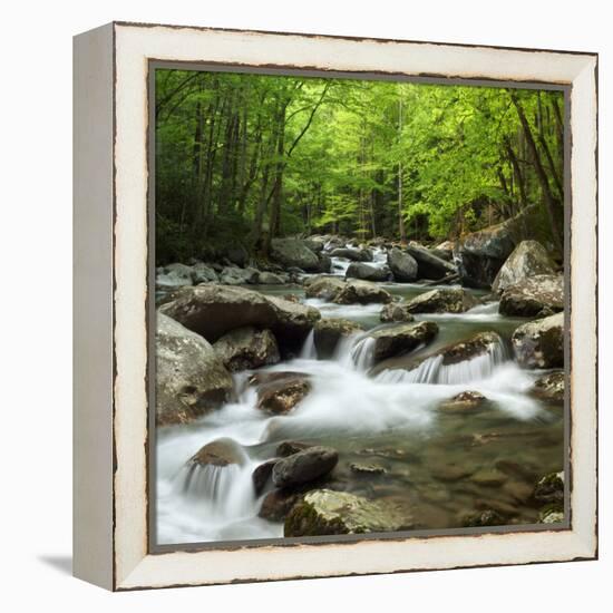 USA, Tennessee, Great Smoky Mountains National Park. Little Pigeon River at Greenbrier-Ann Collins-Framed Premier Image Canvas