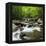 USA, Tennessee, Great Smoky Mountains National Park. Little Pigeon River at Greenbrier-Ann Collins-Framed Premier Image Canvas