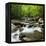 USA, Tennessee, Great Smoky Mountains National Park. Little Pigeon River at Greenbrier-Ann Collins-Framed Premier Image Canvas