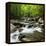 USA, Tennessee, Great Smoky Mountains National Park. Little Pigeon River at Greenbrier-Ann Collins-Framed Premier Image Canvas