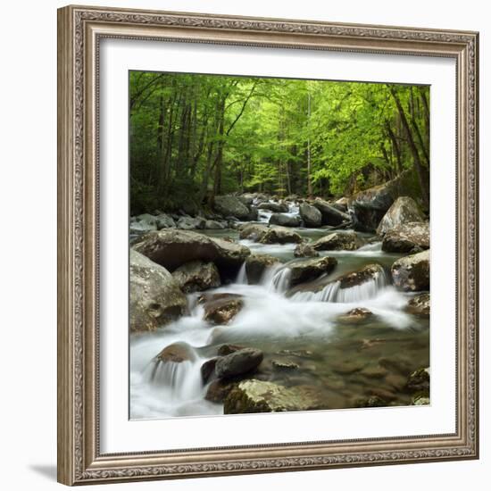 USA, Tennessee, Great Smoky Mountains National Park. Little Pigeon River at Greenbrier-Ann Collins-Framed Photographic Print