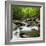 USA, Tennessee, Great Smoky Mountains National Park. Little Pigeon River at Greenbrier-Ann Collins-Framed Photographic Print