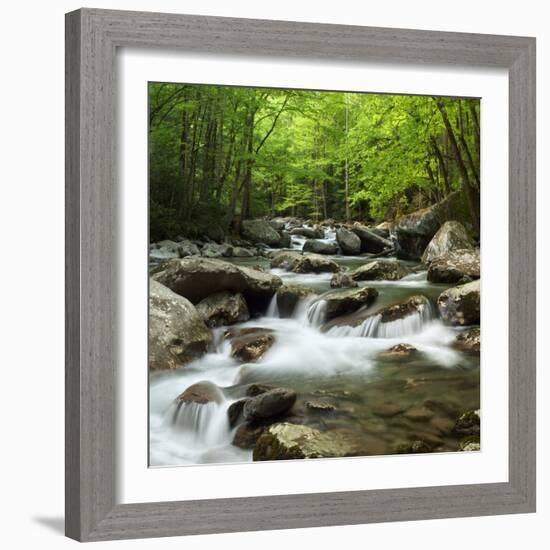 USA, Tennessee, Great Smoky Mountains National Park. Little Pigeon River at Greenbrier-Ann Collins-Framed Photographic Print