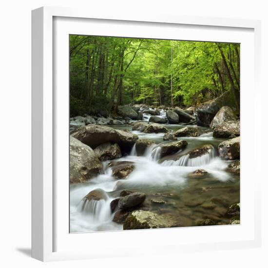 USA, Tennessee, Great Smoky Mountains National Park. Little Pigeon River at Greenbrier-Ann Collins-Framed Photographic Print