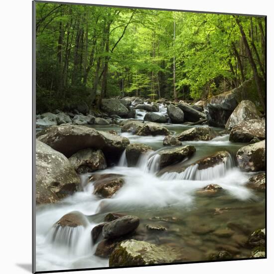 USA, Tennessee, Great Smoky Mountains National Park. Little Pigeon River at Greenbrier-Ann Collins-Mounted Photographic Print