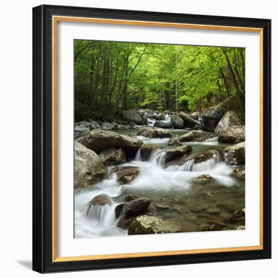 USA, Tennessee, Great Smoky Mountains National Park. Little Pigeon River at Greenbrier-Ann Collins-Framed Photographic Print