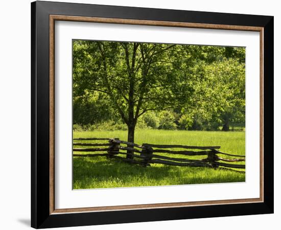 USA, Tennessee, Great Smoky Mountains National Park. Old Wooden Fence in Cades Cove-Ann Collins-Framed Photographic Print