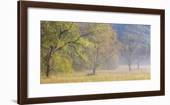 USA, Tennessee, Great Smoky Mountains National Park. Panoramic view of foggy morning in Cades Cove-Ann Collins-Framed Photographic Print