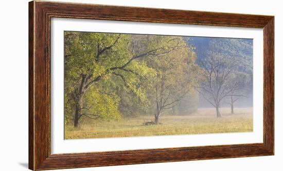 USA, Tennessee, Great Smoky Mountains National Park. Panoramic view of foggy morning in Cades Cove-Ann Collins-Framed Photographic Print