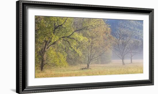 USA, Tennessee, Great Smoky Mountains National Park. Panoramic view of foggy morning in Cades Cove-Ann Collins-Framed Photographic Print