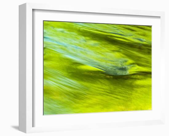 USA, Tennessee, Great Smoky Mountains National Park. Spring Reflection on the Little Pigeon River-Ann Collins-Framed Photographic Print