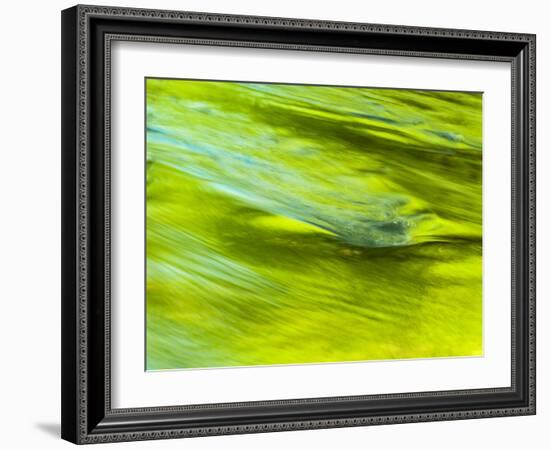 USA, Tennessee, Great Smoky Mountains National Park. Spring Reflection on the Little Pigeon River-Ann Collins-Framed Photographic Print