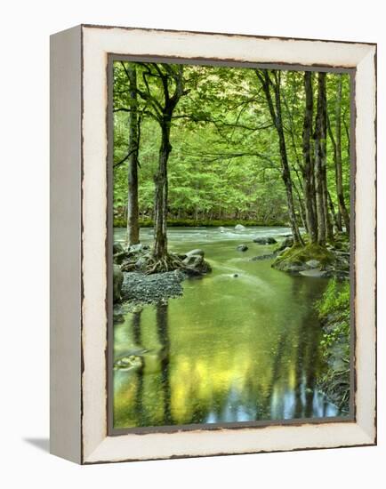 USA, Tennessee, Great Smoky Mountains National Park, Spring Reflections on Little Pigeon River-Ann Collins-Framed Premier Image Canvas