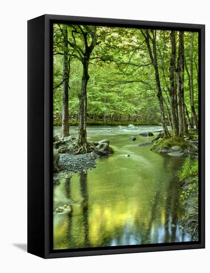 USA, Tennessee, Great Smoky Mountains National Park, Spring Reflections on Little Pigeon River-Ann Collins-Framed Premier Image Canvas