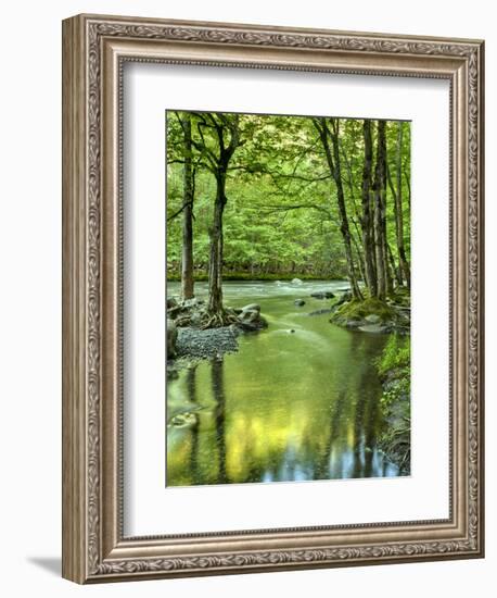 USA, Tennessee, Great Smoky Mountains National Park, Spring Reflections on Little Pigeon River-Ann Collins-Framed Photographic Print