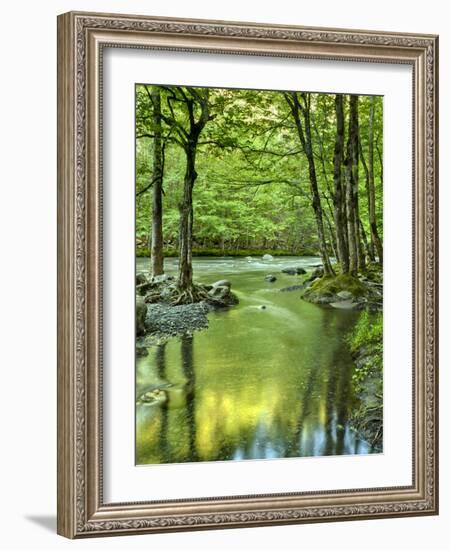 USA, Tennessee, Great Smoky Mountains National Park, Spring Reflections on Little Pigeon River-Ann Collins-Framed Photographic Print