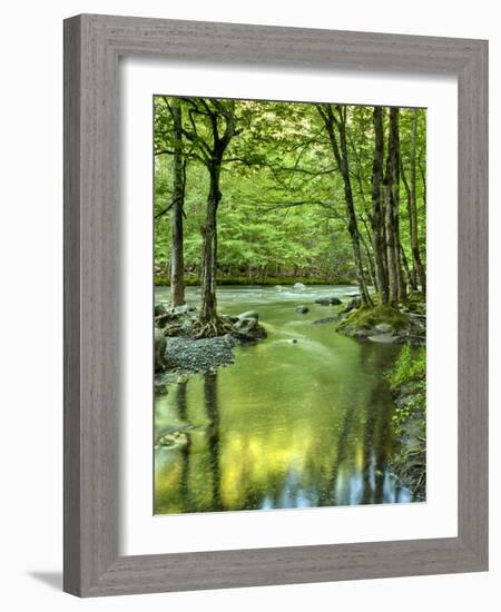 USA, Tennessee, Great Smoky Mountains National Park, Spring Reflections on Little Pigeon River-Ann Collins-Framed Photographic Print