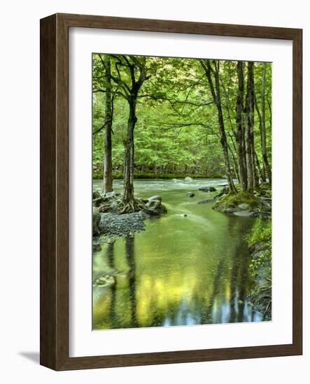 USA, Tennessee, Great Smoky Mountains National Park, Spring Reflections on Little Pigeon River-Ann Collins-Framed Photographic Print