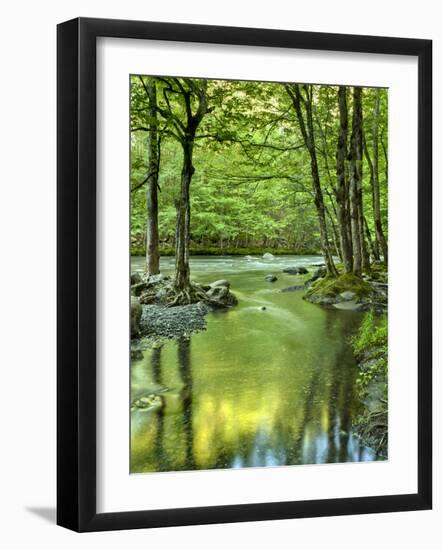 USA, Tennessee, Great Smoky Mountains National Park, Spring Reflections on Little Pigeon River-Ann Collins-Framed Photographic Print