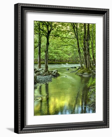 USA, Tennessee, Great Smoky Mountains National Park, Spring Reflections on Little Pigeon River-Ann Collins-Framed Photographic Print