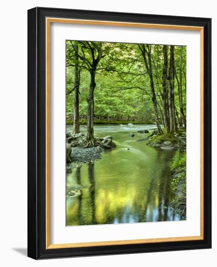 USA, Tennessee, Great Smoky Mountains National Park, Spring Reflections on Little Pigeon River-Ann Collins-Framed Photographic Print