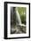 USA, Tennessee, Great Smoky Mountains National Park. Water Coursed Through Mingus Mill-Jaynes Gallery-Framed Photographic Print