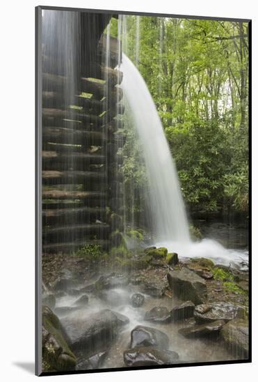 USA, Tennessee, Great Smoky Mountains National Park. Water Coursed Through Mingus Mill-Jaynes Gallery-Mounted Photographic Print