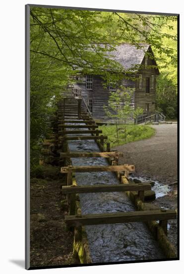 USA, Tennessee, Great Smoky Mountains National Park. Wooden Flume Directs Water Towards Mingus Mil-Jaynes Gallery-Mounted Photographic Print