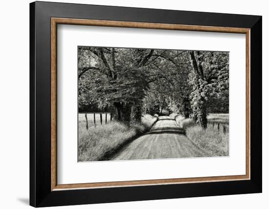 USA, Tennessee, Great Smoky Mountains NP. Dirt Road in Cades Cove-Dennis Flaherty-Framed Photographic Print