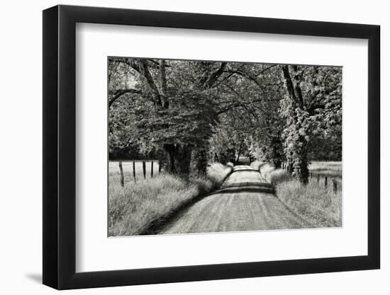 USA, Tennessee, Great Smoky Mountains NP. Dirt Road in Cades Cove-Dennis Flaherty-Framed Photographic Print