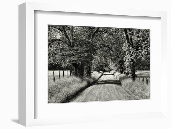 USA, Tennessee, Great Smoky Mountains NP. Dirt Road in Cades Cove-Dennis Flaherty-Framed Photographic Print