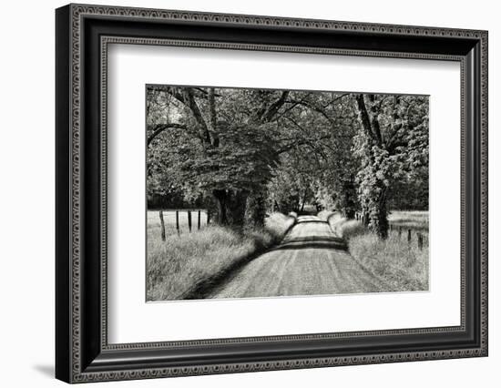 USA, Tennessee, Great Smoky Mountains NP. Dirt Road in Cades Cove-Dennis Flaherty-Framed Photographic Print