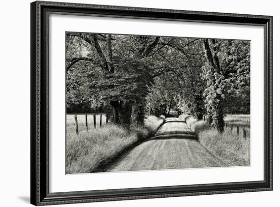 USA, Tennessee, Great Smoky Mountains NP. Dirt Road in Cades Cove-Dennis Flaherty-Framed Photographic Print