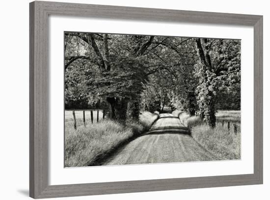 USA, Tennessee, Great Smoky Mountains NP. Dirt Road in Cades Cove-Dennis Flaherty-Framed Photographic Print