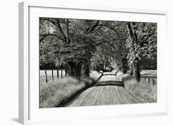 USA, Tennessee, Great Smoky Mountains NP. Dirt Road in Cades Cove-Dennis Flaherty-Framed Photographic Print