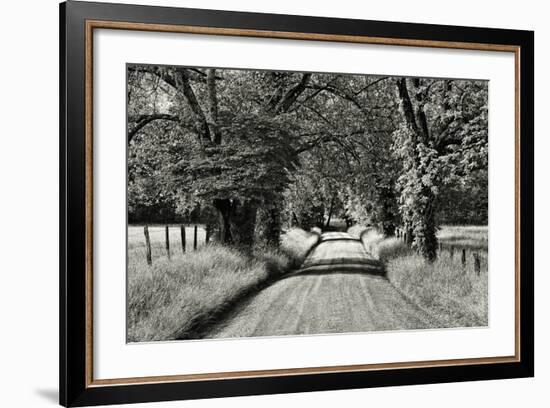 USA, Tennessee, Great Smoky Mountains NP. Dirt Road in Cades Cove-Dennis Flaherty-Framed Photographic Print