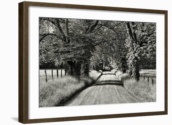 USA, Tennessee, Great Smoky Mountains NP. Dirt Road in Cades Cove-Dennis Flaherty-Framed Photographic Print