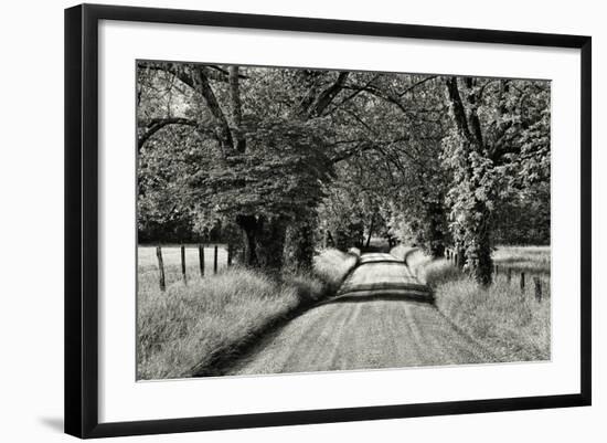 USA, Tennessee, Great Smoky Mountains NP. Dirt Road in Cades Cove-Dennis Flaherty-Framed Photographic Print