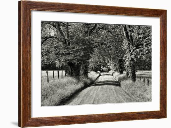 USA, Tennessee, Great Smoky Mountains NP. Dirt Road in Cades Cove-Dennis Flaherty-Framed Photographic Print