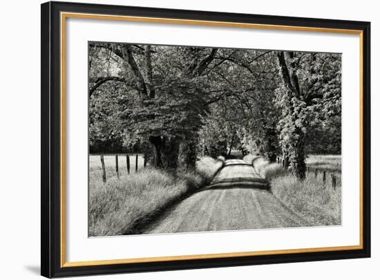 USA, Tennessee, Great Smoky Mountains NP. Dirt Road in Cades Cove-Dennis Flaherty-Framed Photographic Print