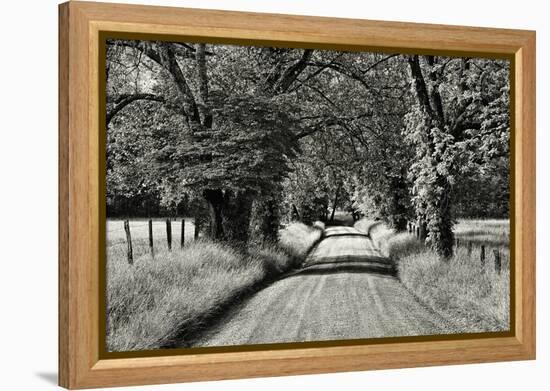 USA, Tennessee, Great Smoky Mountains NP. Dirt Road in Cades Cove-Dennis Flaherty-Framed Premier Image Canvas