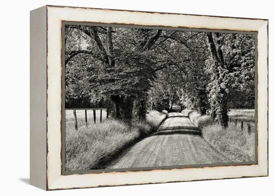 USA, Tennessee, Great Smoky Mountains NP. Dirt Road in Cades Cove-Dennis Flaherty-Framed Premier Image Canvas