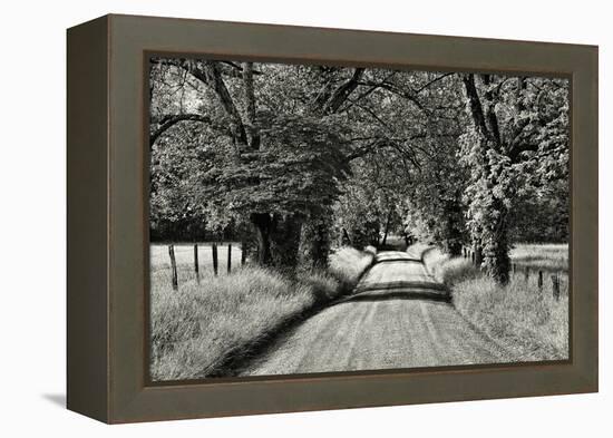 USA, Tennessee, Great Smoky Mountains NP. Dirt Road in Cades Cove-Dennis Flaherty-Framed Premier Image Canvas