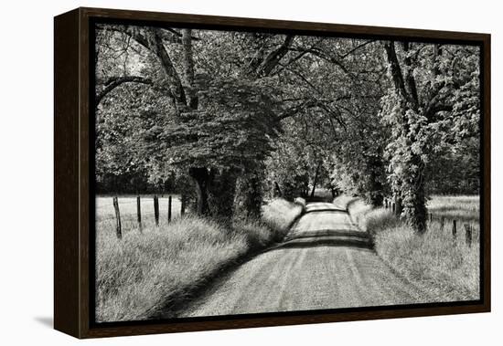 USA, Tennessee, Great Smoky Mountains NP. Dirt Road in Cades Cove-Dennis Flaherty-Framed Premier Image Canvas