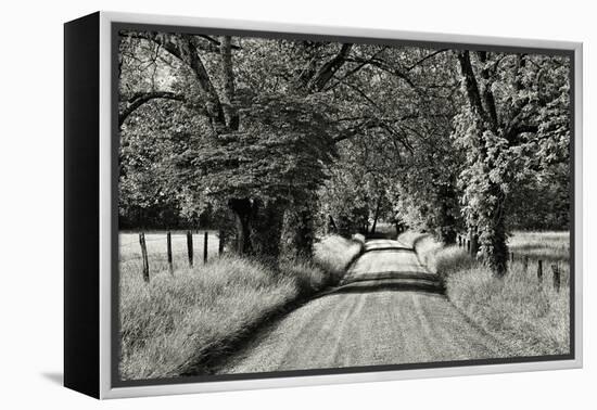 USA, Tennessee, Great Smoky Mountains NP. Dirt Road in Cades Cove-Dennis Flaherty-Framed Premier Image Canvas
