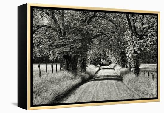 USA, Tennessee, Great Smoky Mountains NP. Dirt Road in Cades Cove-Dennis Flaherty-Framed Premier Image Canvas