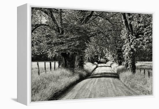 USA, Tennessee, Great Smoky Mountains NP. Dirt Road in Cades Cove-Dennis Flaherty-Framed Premier Image Canvas