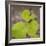 USA, Tennessee. Heart-Shaped Vine Leaves-Don Paulson-Framed Photographic Print